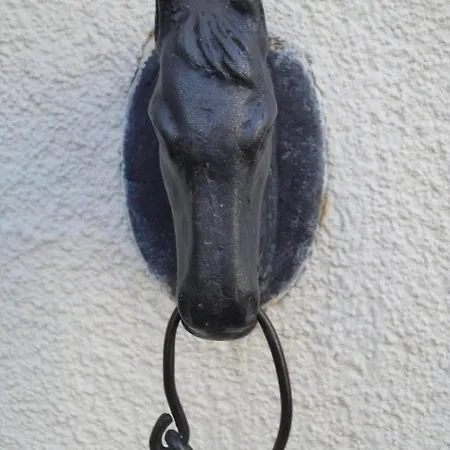 Hirschen Rapperswil-jona Hotel Rapperswil-Jona